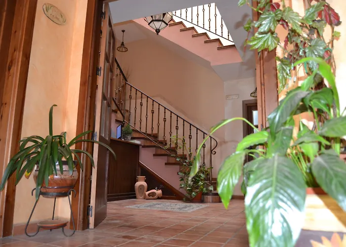 Toribio 3* ガラロサ